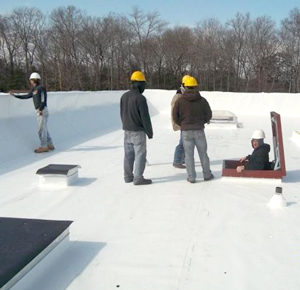 Professionals Working on a Roof